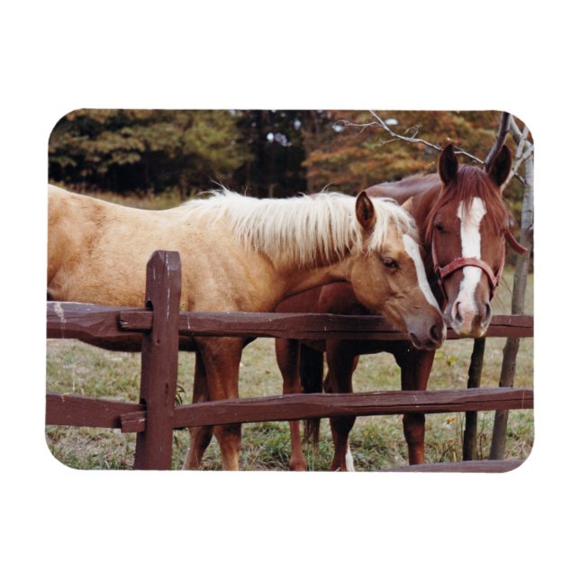 Best Friends Magnet (Horizontal)