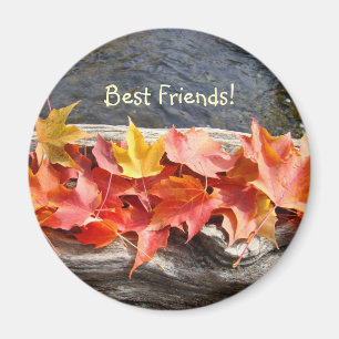 Best Friends! magnet River water Driftwood Leaves