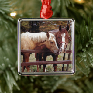 Best Friends Metal Ornament