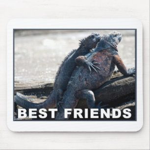 Best Friends Mouse Pad