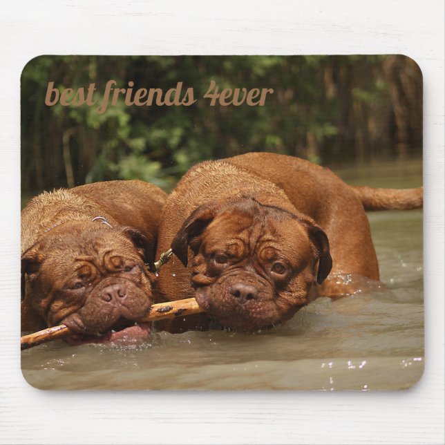 Best Friends Mouse Pad (Front)