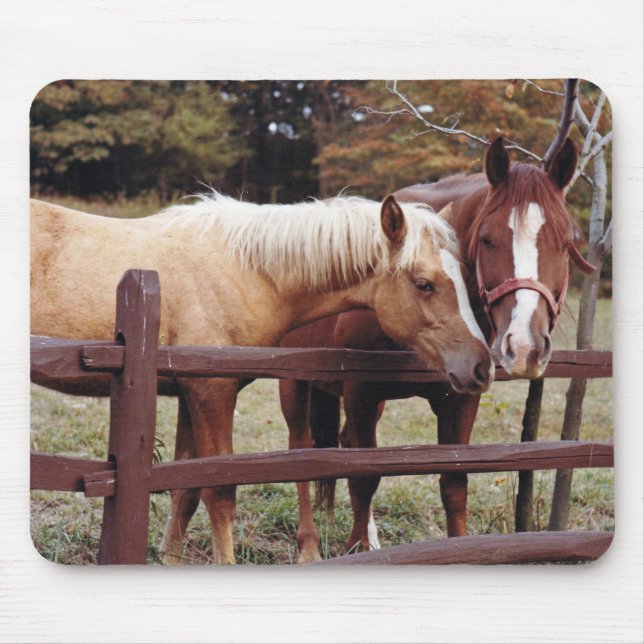 Best Friends Mouse Pad (Front)