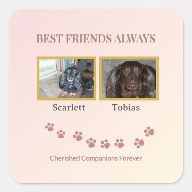 Best Friends Pawprint Square Sticker (Front)