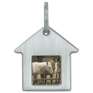 Best Friends Pet Tag