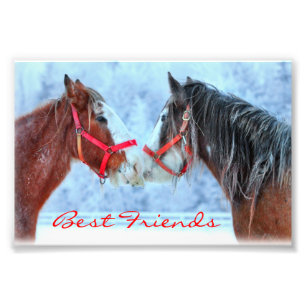 Best Friends Photo Print