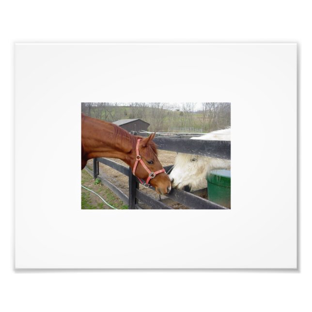 Best Friends Photo Print (Front)