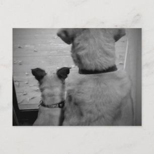 Best Friends Postcard