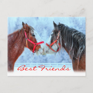 Best Friends Postcard