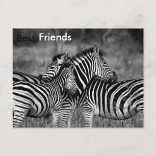 Best Friends Postcard