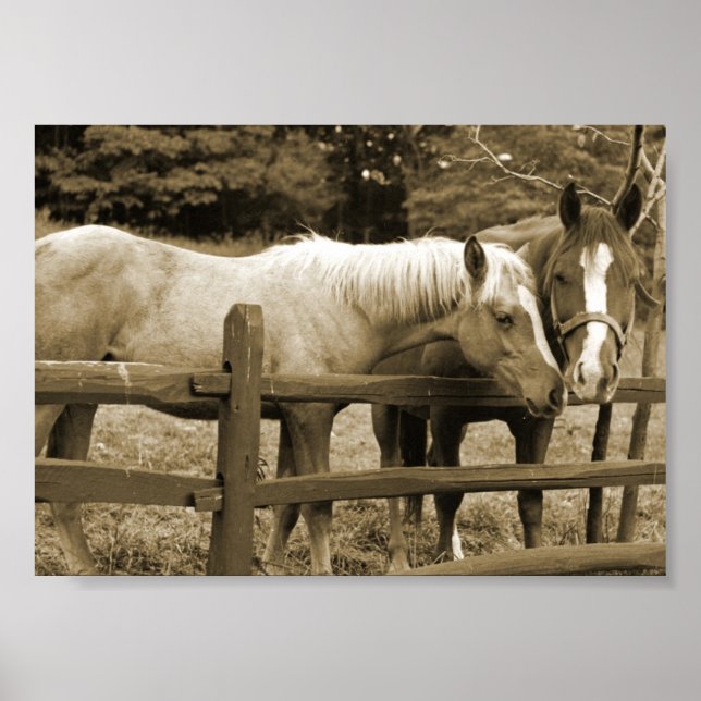 Best Friends Poster (Front)
