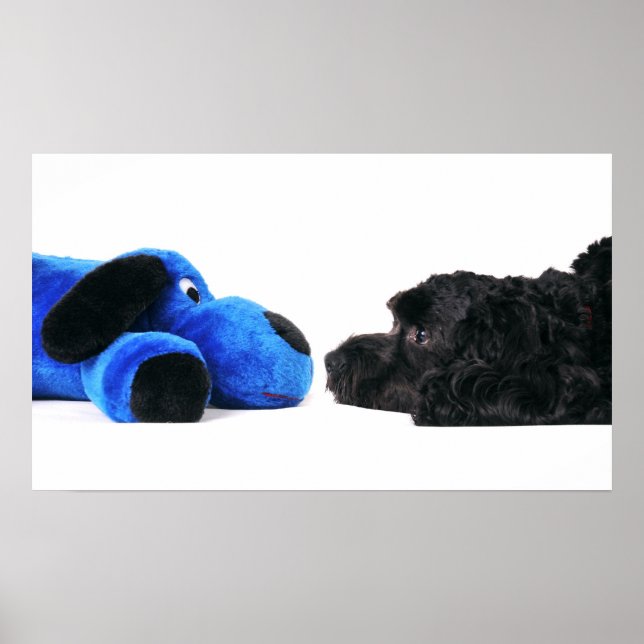 Best friends poster (Front)