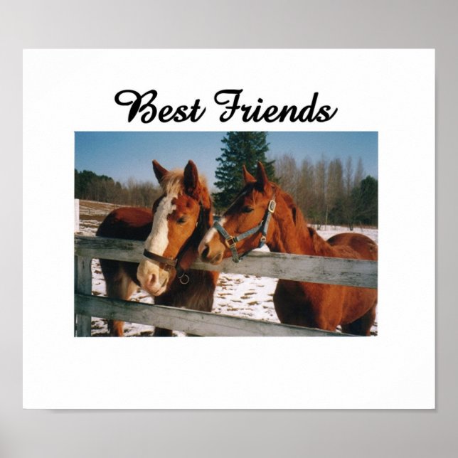 Best Friends Poster (Front)