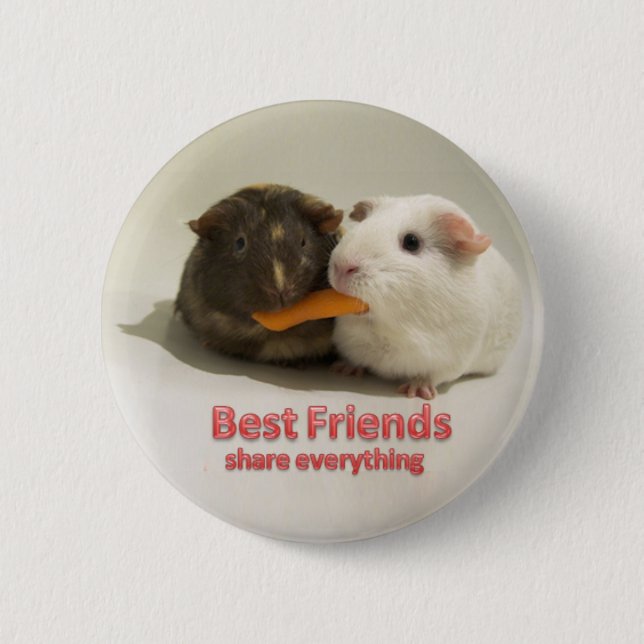 Best Friends share everything 2 Inch Round Button (Front)