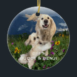 Best Friends Two Dogs in Field of Flowers BFFs Ceramic Ornament<br><div class="desc">This custom holiday ornament has a photo of two cute dogs, one big white retriever (Buddy) and one small Shih Tzu (Benji) romping in a field of flowers. They really are Best Friends Forever (BFFs)! Sample has same photo and text on front and back - however you can use different...</div>