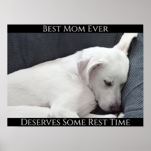 Best Mom Ever Deserves Some Rest Time Cute Dog Poster
