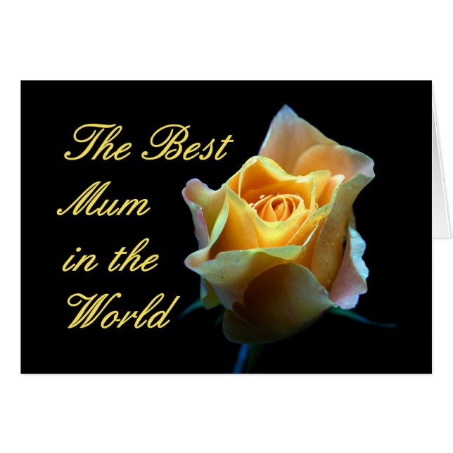 Best Mom in the World (Front Horizontal)