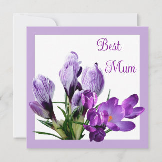 Best Mom pretty purple crocus colorful floral Card