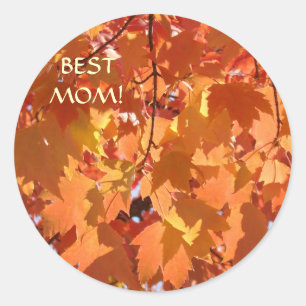 BEST MOM! Stickers Orange Autumn Tree Leaves Gifts