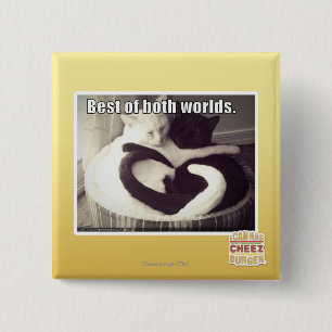 Best of both worlds. 2 inch square button