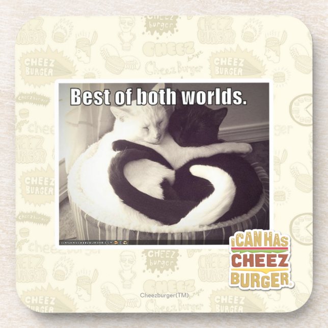 Best of both worlds. coaster (Front)