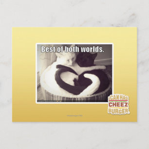 Best of both worlds. postcard