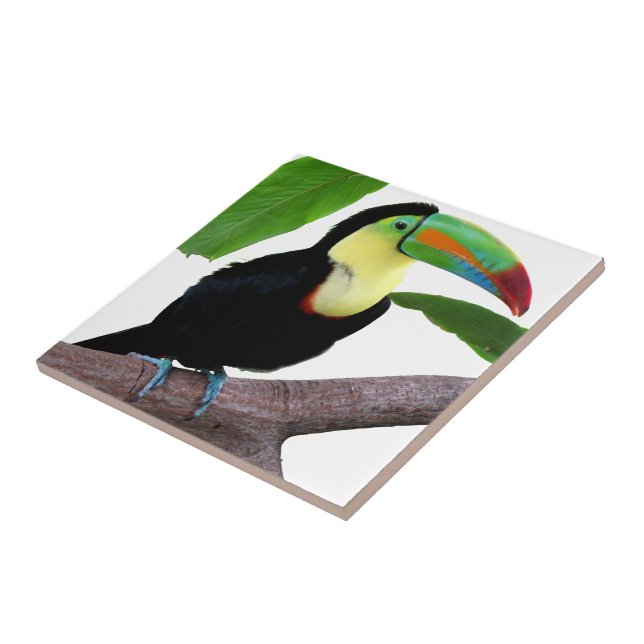 Best-of-Breed "Keel-billed Toucan" Tile (Side)