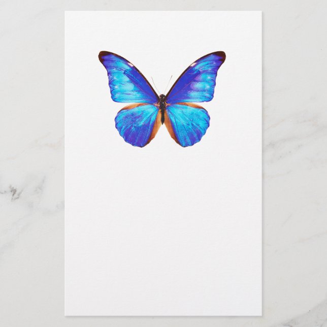 Best-of-Breed "Morpho" Stationery (Front)