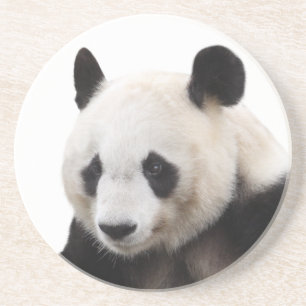 Best-of-Breed "Panda" Coaster