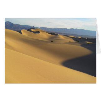 Best of Death Valley Blank Card