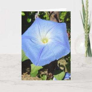 Best of everything in your New Home! Good Luck! Card