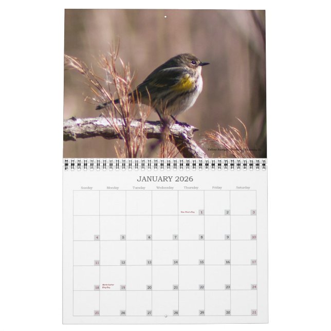 Best of Jamie Anderson Nature Photography Calendar (Jan 2026)