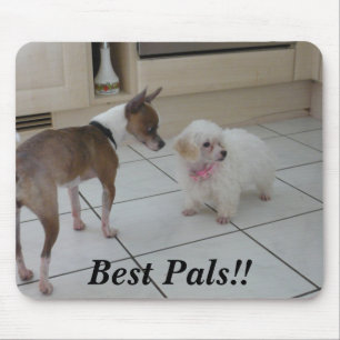 Best Pals!! Mouse Pad