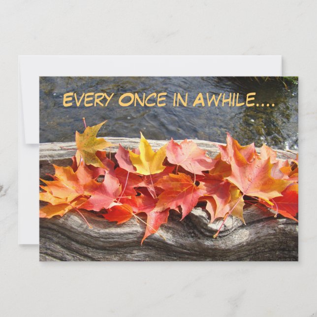 Best Party of All! invitations Fall Parties Autumn (Front)