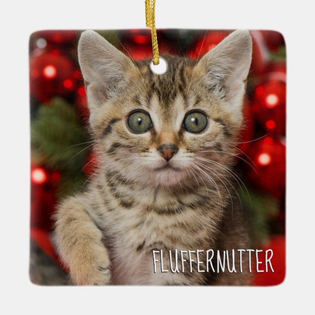 Best Personalized Picture Cat Kitten + Name Photo Ceramic Ornament (Front)