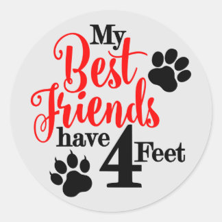 Best Pet Friend Classic Round Sticker