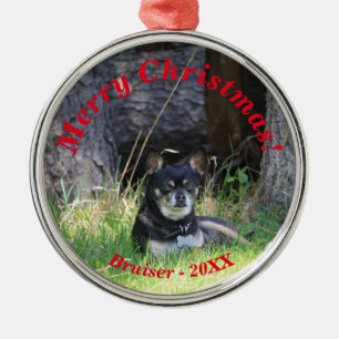 Best Pet Friend Forever Keepsake Gift Metal Ornament