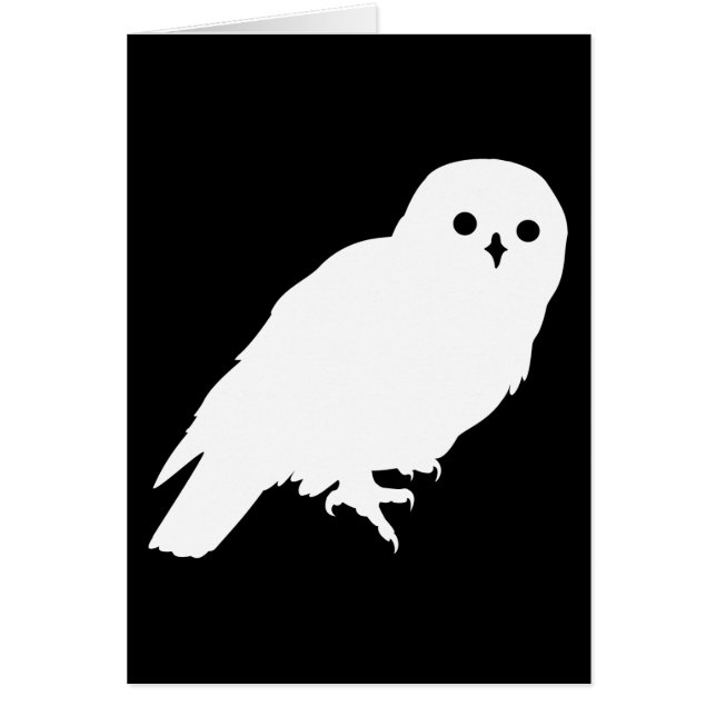 Best Price White Barn Owl (Front)