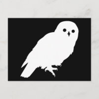 Best Price White Barn Owl Graphic