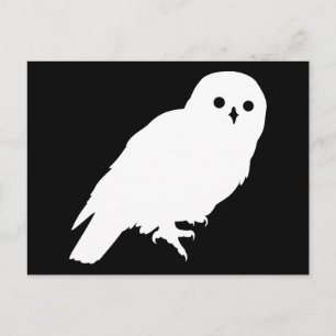 Best Price White Barn Owl Graphic Postcard