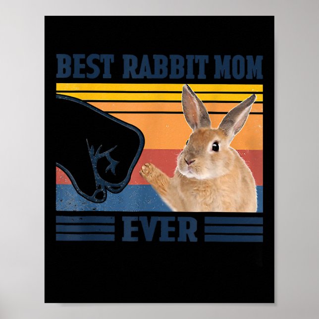 Best Rabbit Mom Ever Mother's Day gift  Poster (Front)