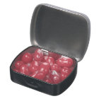 Best sister ever pink glitter zebra stripes