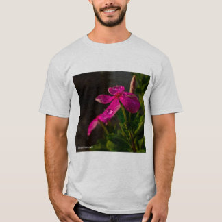 best T-Shirt