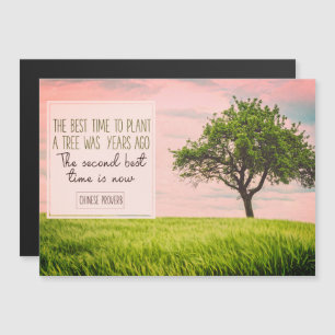 Best Time To Plant A Tree