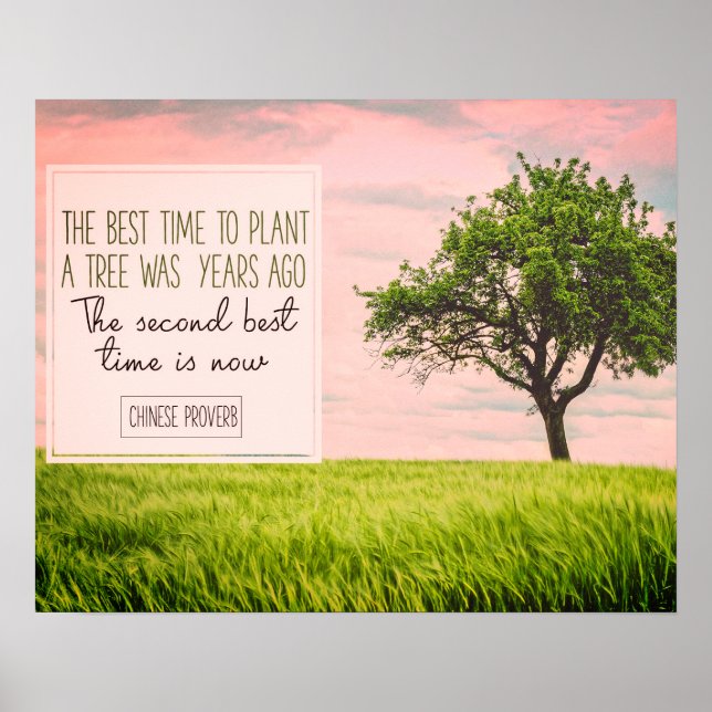 Best Time To Plant A Tree Poster (Front)