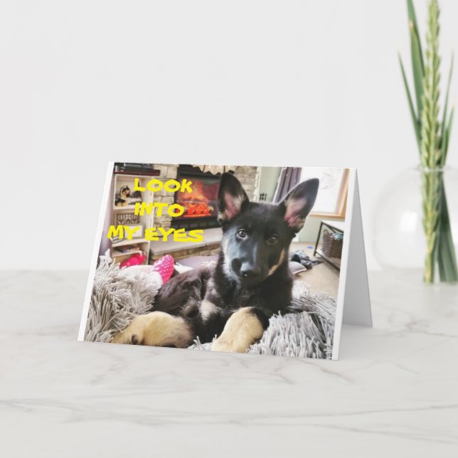 **BEST VETERINARIAN EVER**HAPPY BIRTHDAY CARD (Front)