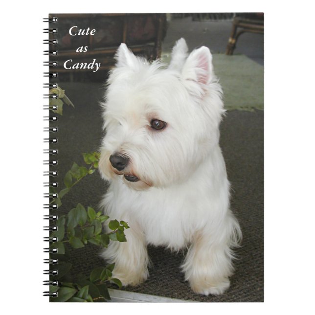 Best West Highland Terrier Ever Notebook (Front)