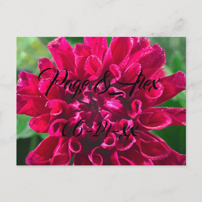 Best Wishes Newly Weds Wedding Destiny's Destiny P Postcard (Front)