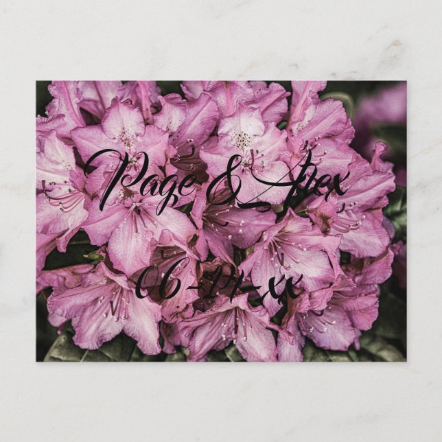 Best Wishes Newly Weds Wedding Destiny's Destiny P Postcard (Front)