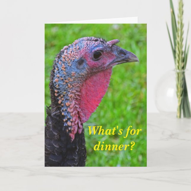 Best wishes on turkey day, a cute reflection. holiday card (Front)