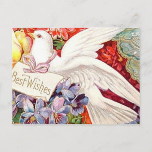 Best Wishes Victorian Dove Wedding Birthday Postcard